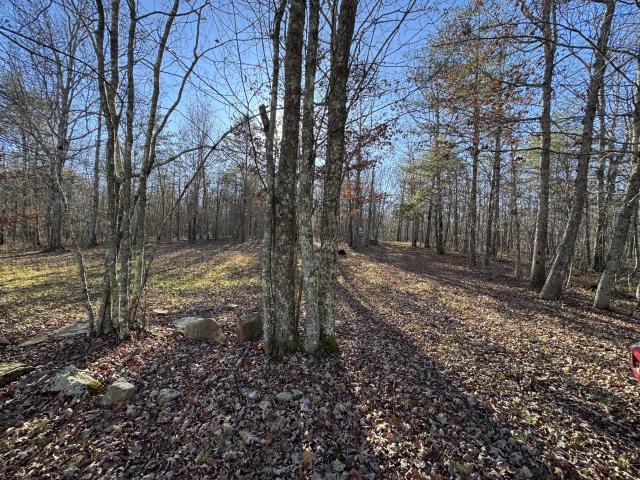 Land for sale in Tennessee