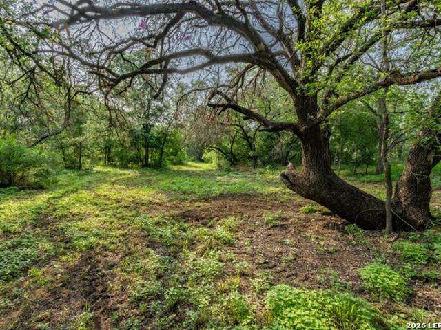 Land for sale in Medina, Texas