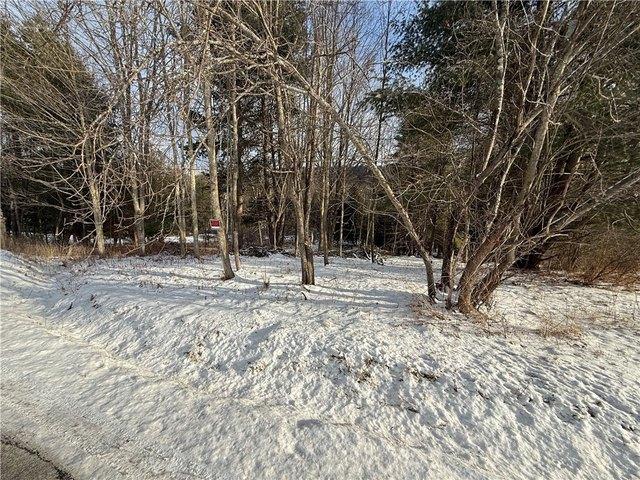Land for sale in Vestal, New York