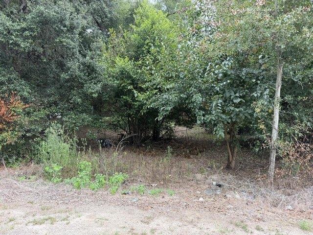 Land for sale in Dougherty, Georgia