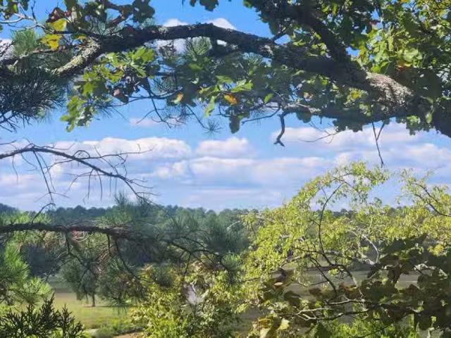 House for rent in Ark