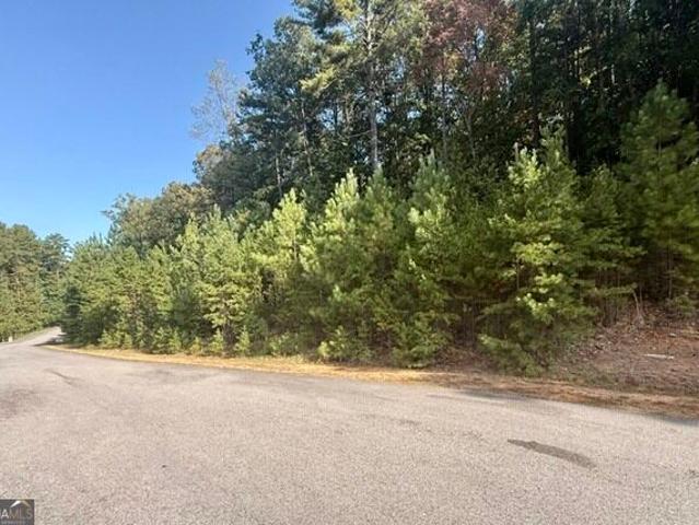 Land for sale in Blairsville, Union County