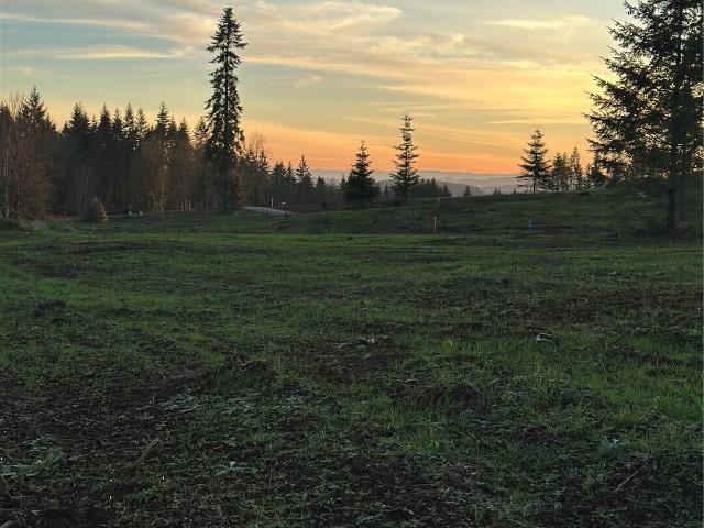 Land for sale in Castle Rock, Washington