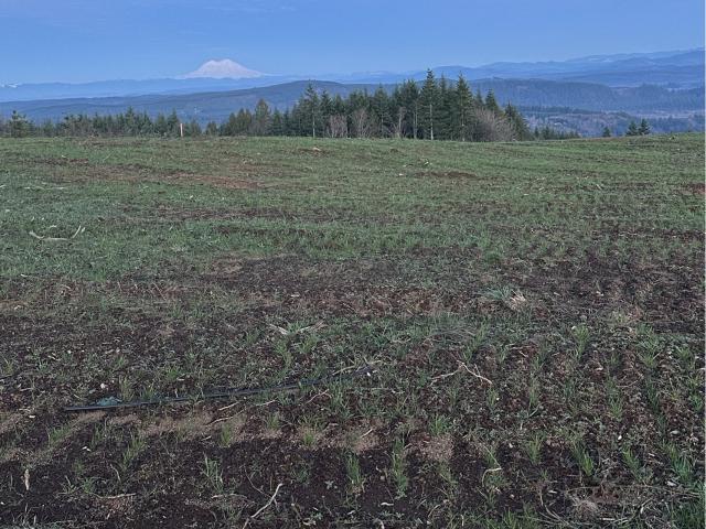 Land for sale in Castle Rock, Washington