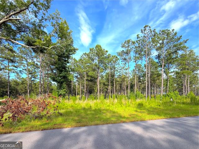 Land for sale in Milledgeville, Baldwin County