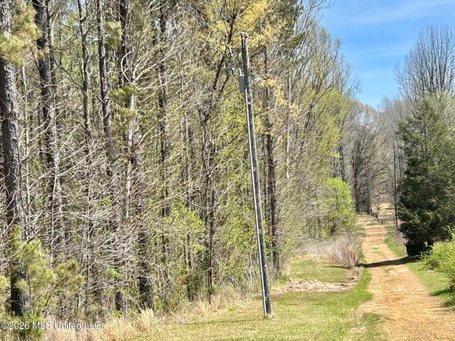 Land for sale in Coldwater, Tate County
