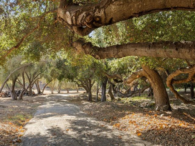 Land for sale in Ojai, California