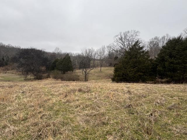 Land for sale in Tennessee