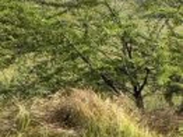 Property for sale in Pink City, Jetpur