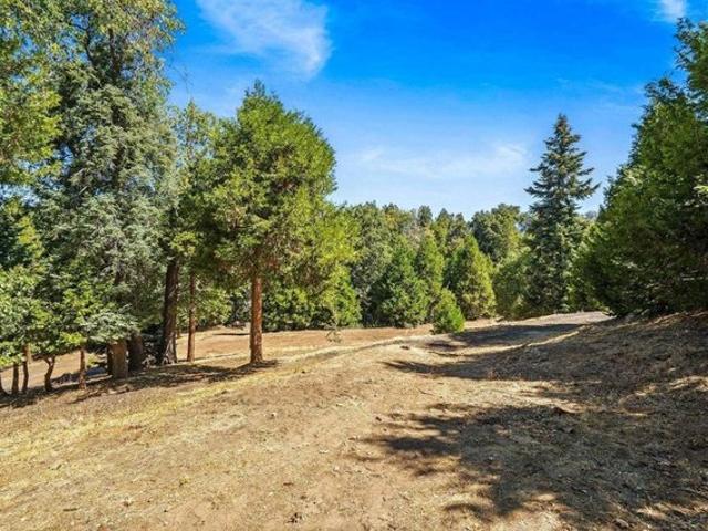 Land for sale in Palomar Mountain, California