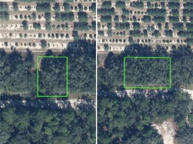 Land for sale in Avon Park, Florida
