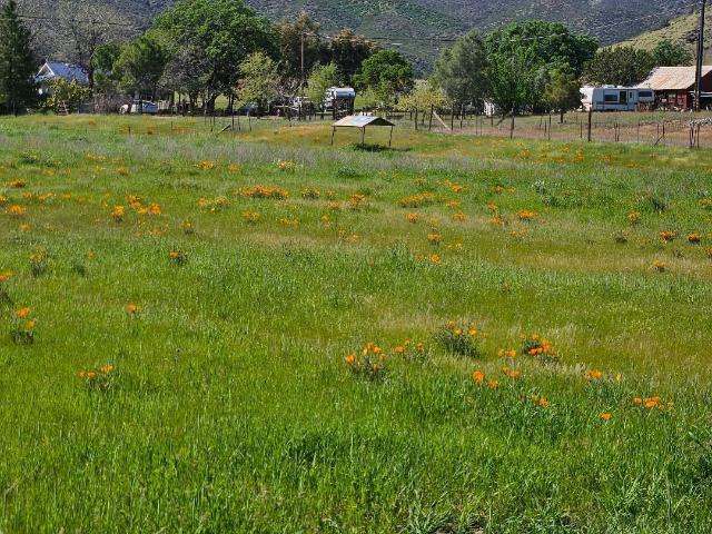 House for sale in Colusa, California