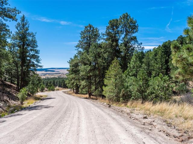 Land for sale in Colorado
