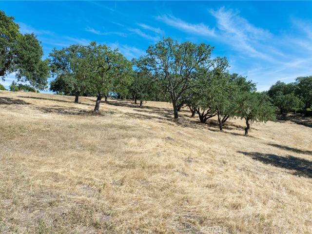 Land for sale in California