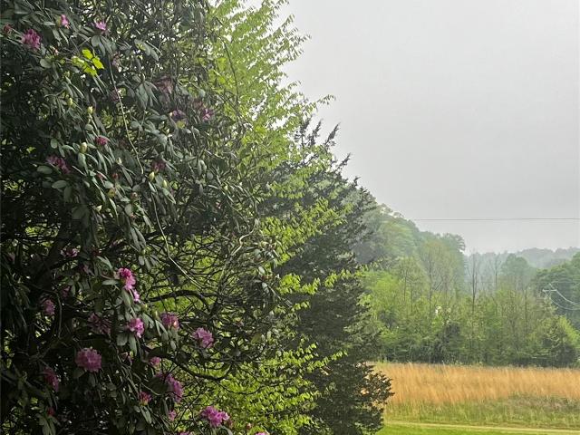 Land for sale in Wilkesboro, North Carolina