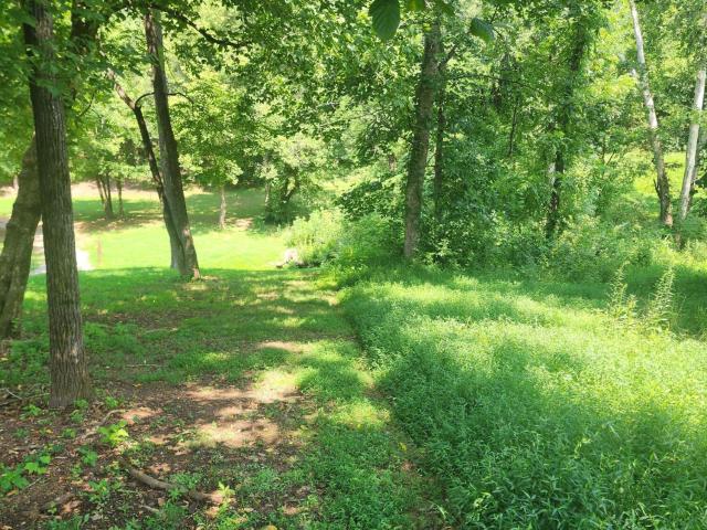 Land for sale in Tennessee