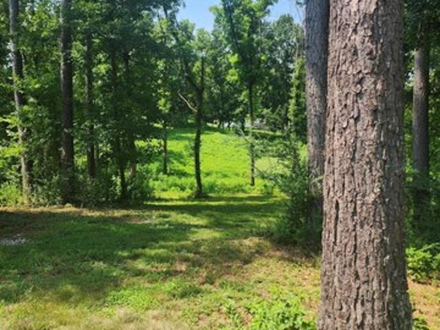 Land for sale in Tennessee