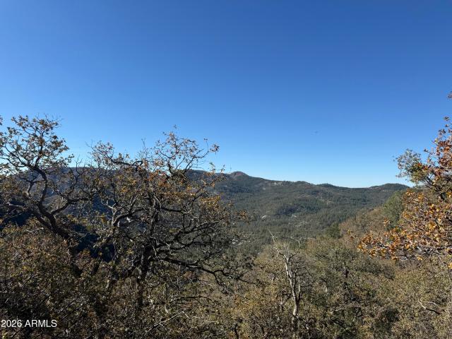 Land for sale in Arizona