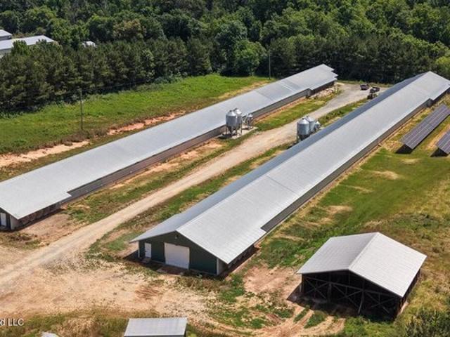 Farm for sale in Forest, Mississippi