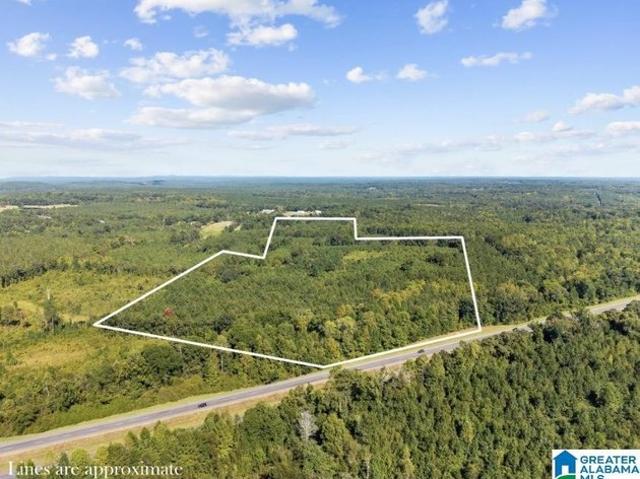 Land for sale in Clanton, Alabama