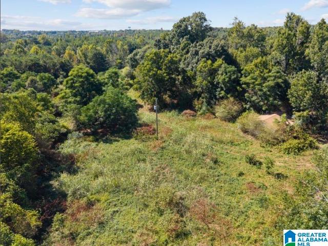 Land for sale in Clanton, Alabama
