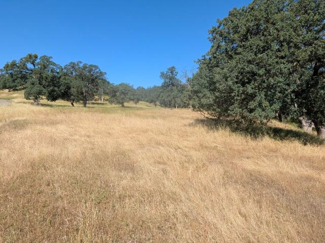 Land for sale in Red Bluff, California