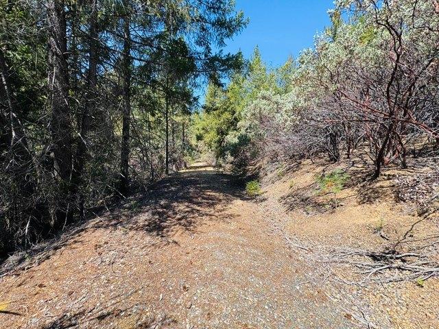 Land for sale in Colfax, California