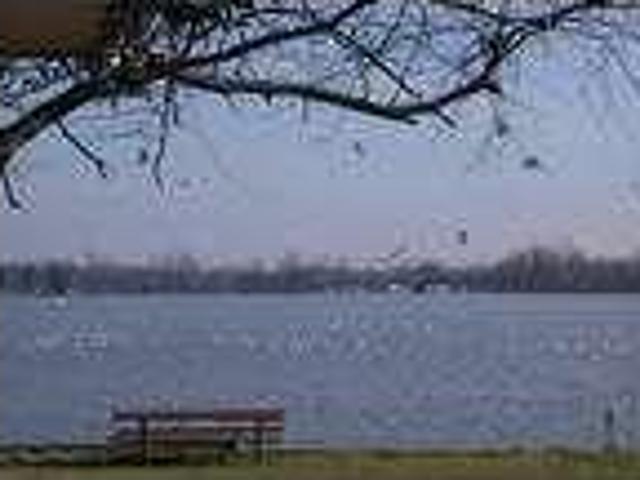 House for rent in Russells Point, Ohio