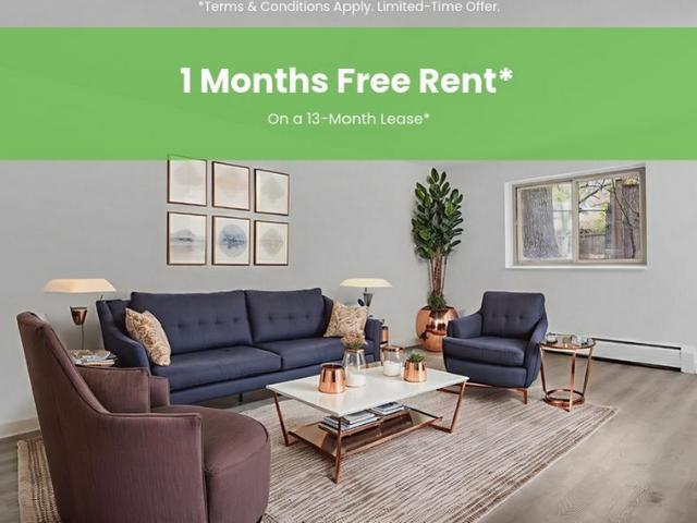 Apartment for rent in Malton, Mississauga