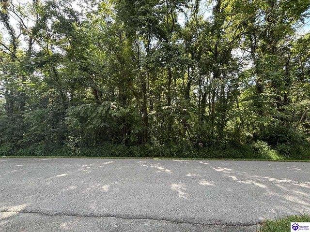 Land for sale in Brandenburg, Kentucky