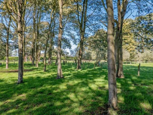 Property for sale in Prebbleton, Canterbury