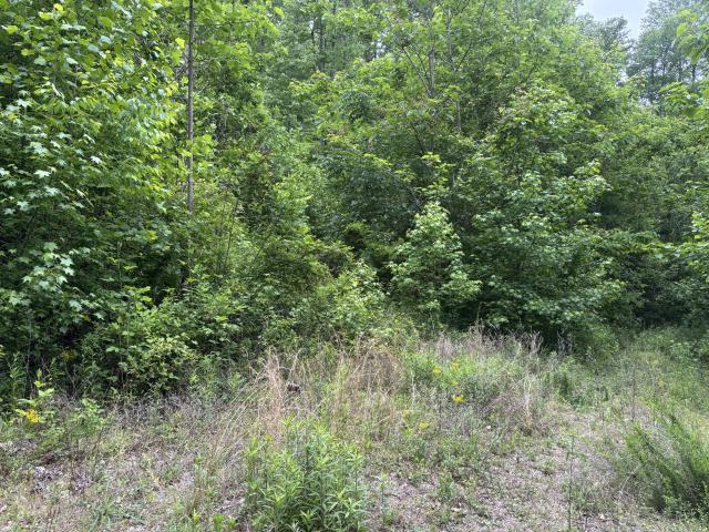 Land for sale in Tennessee