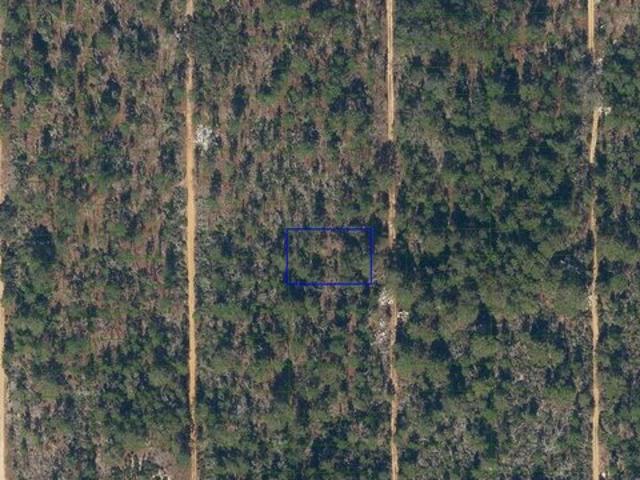 Land for sale in Interlachen, Putnam County