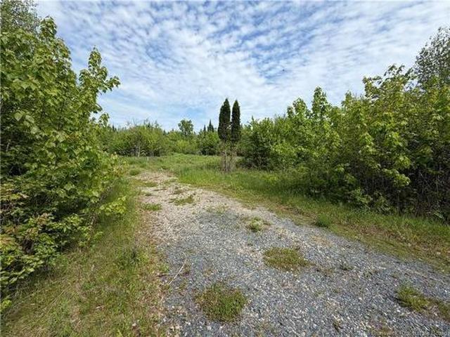 Land for sale in Black River, New Brunswick
