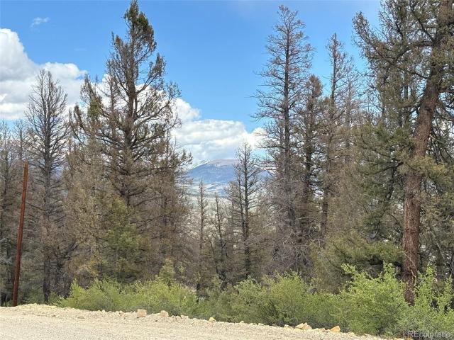 Land for sale in Fairplay, Colorado