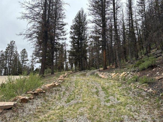 Land for sale in Fairplay, Colorado