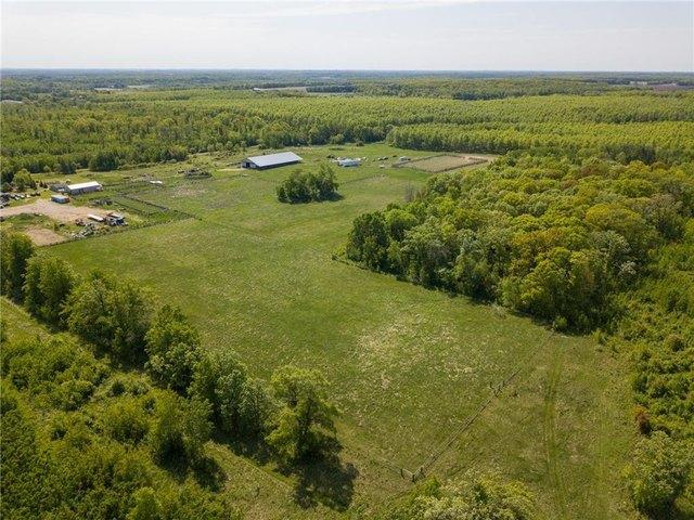 Land for sale in Todd, Minnesota