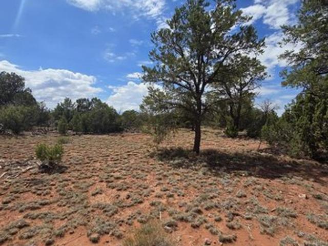Land for sale in Williams, Arizona
