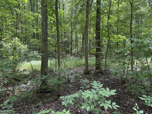Land for sale in East Leroy, Michigan