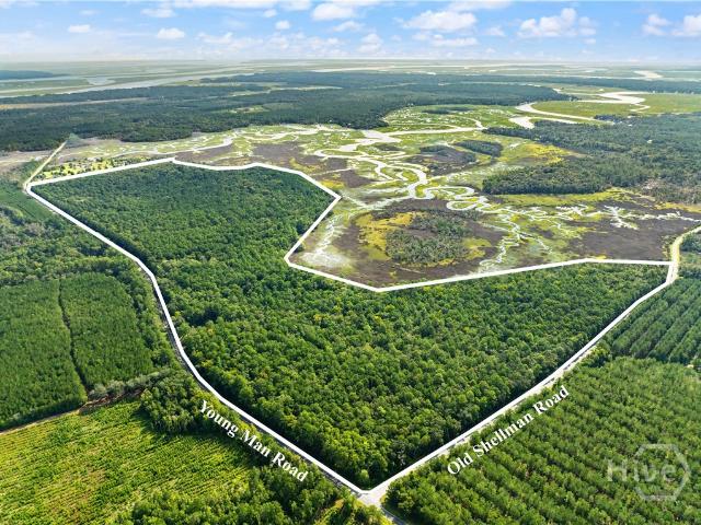 Land for sale in McIntosh County, Georgia