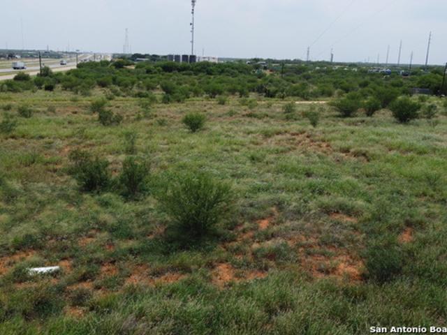 Land for sale in Cotulla