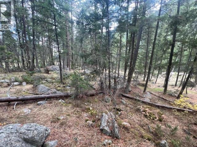 Property for sale in Princeton, British Columbia