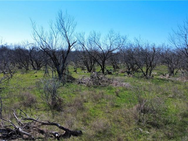 Land for sale in Milam, Texas