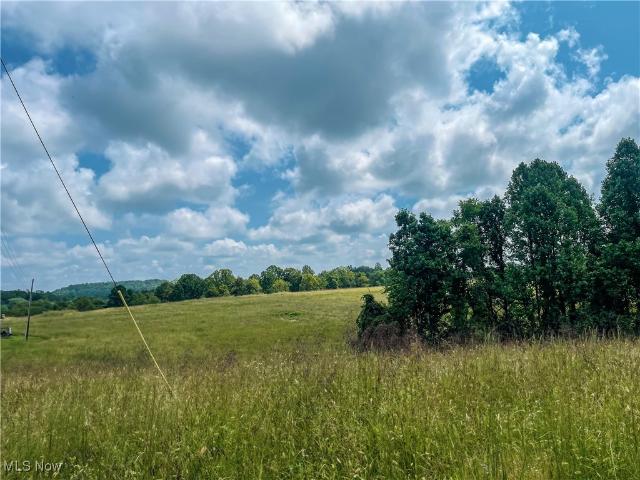 Land for sale in Gandeeville, West Virginia