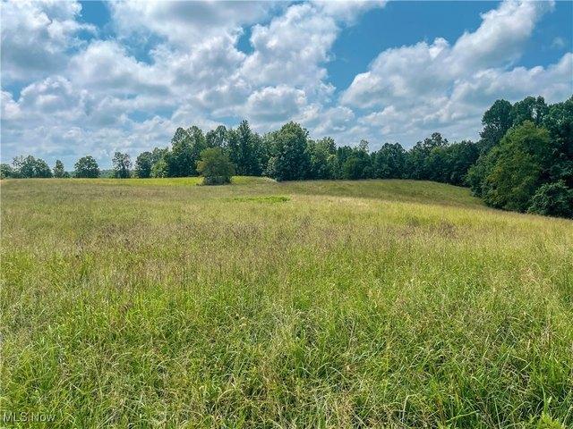 Farm for sale in Gandeeville, West Virginia