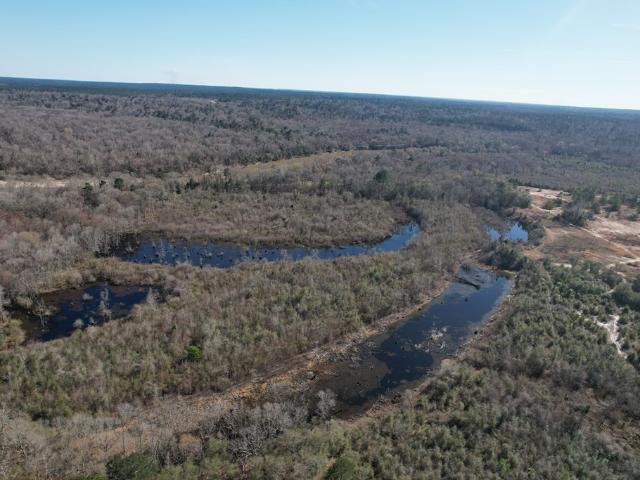 Land for sale in Petal, Mississippi