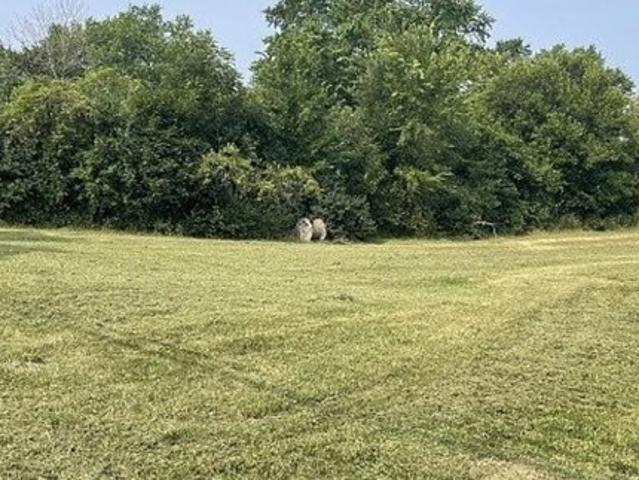 Land for sale in Grayslake, Illinois