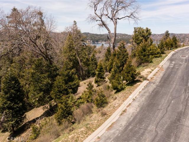 Land for sale in Cedar Glen, California