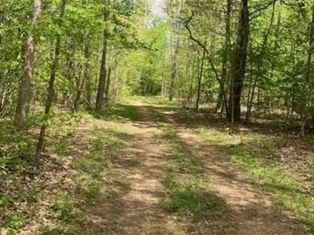 Land for sale in Fredericktown, Missouri