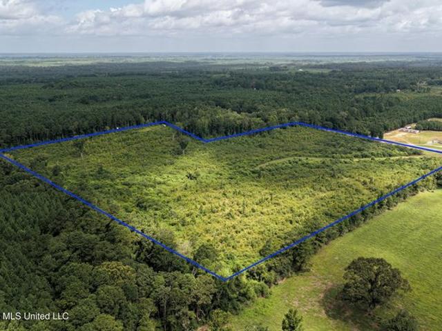 Land for sale in Tylertown, Mississippi